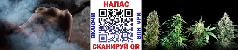Где купить Лыткарино Конопля МЕТАМФЕТАМИН ГАШ Галлюциногенные грибы КОКАИН Мефедрон Альфа ПВП