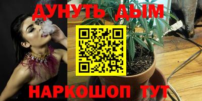 прущие крисы Краснодар